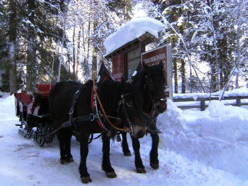 Winterkutschenfahrt in Leogang
